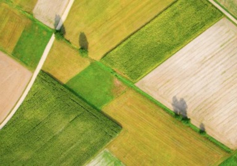 Le marché des terres agricoles en 2018