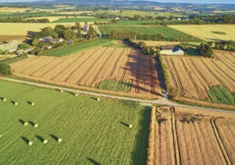 Le marché des terres agricoles en 2021