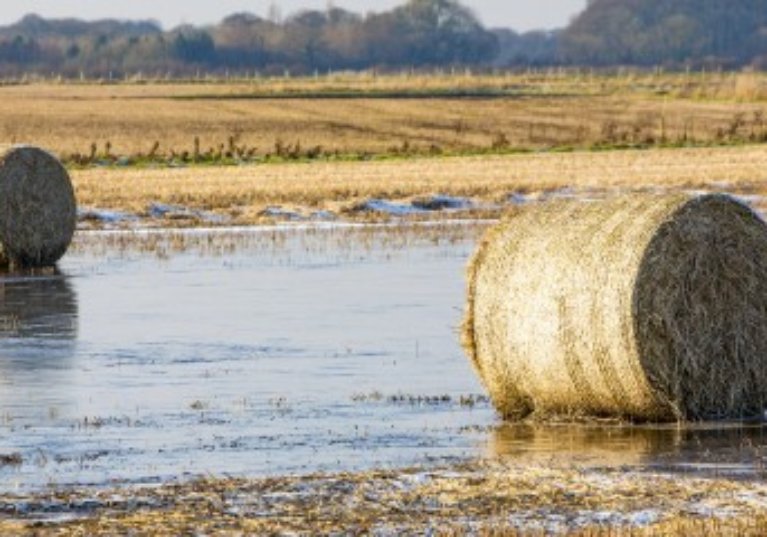 Assurance récolte : les taux de subventions sont inchangés pour 2022