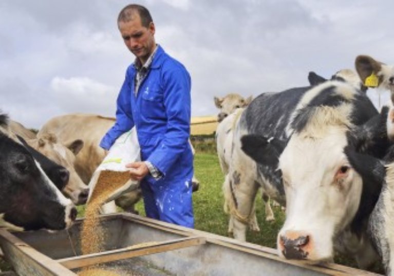 Exploitants agricoles : encore quelques jours pour demander l’aide « Pec résilience » !