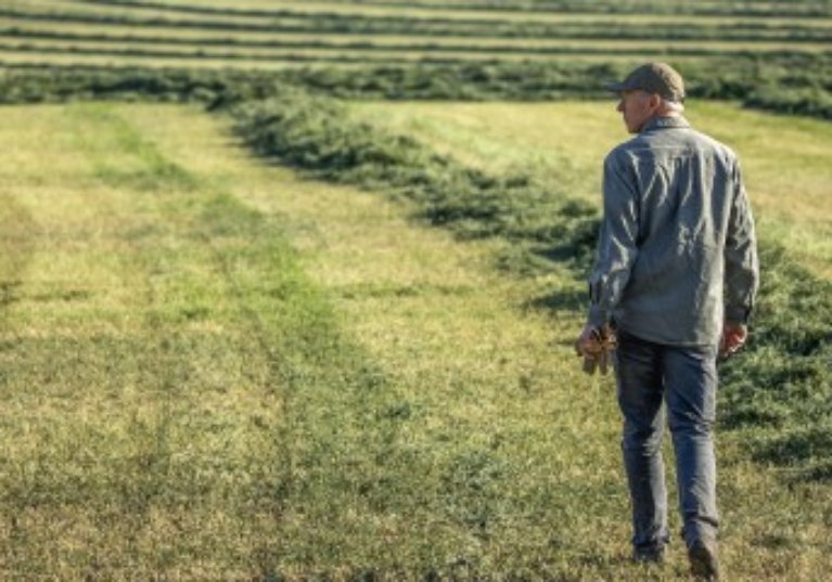 La reprise par le bailleur des terres louées après le décès du locataire