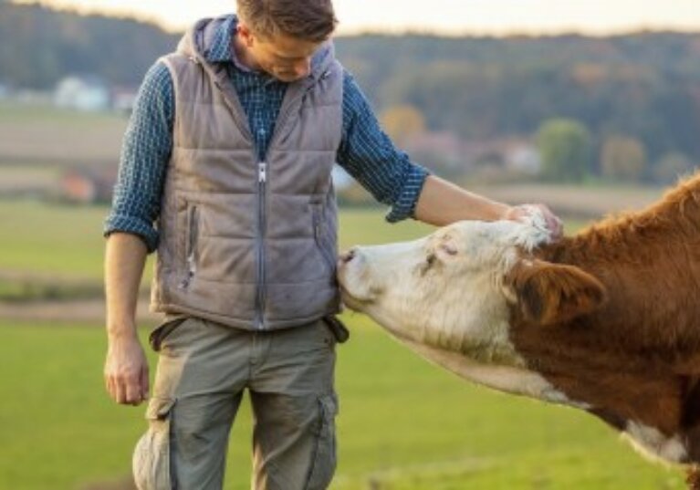 Agriculture : augmentation de plusieurs aides de la Pac au titre de 2023