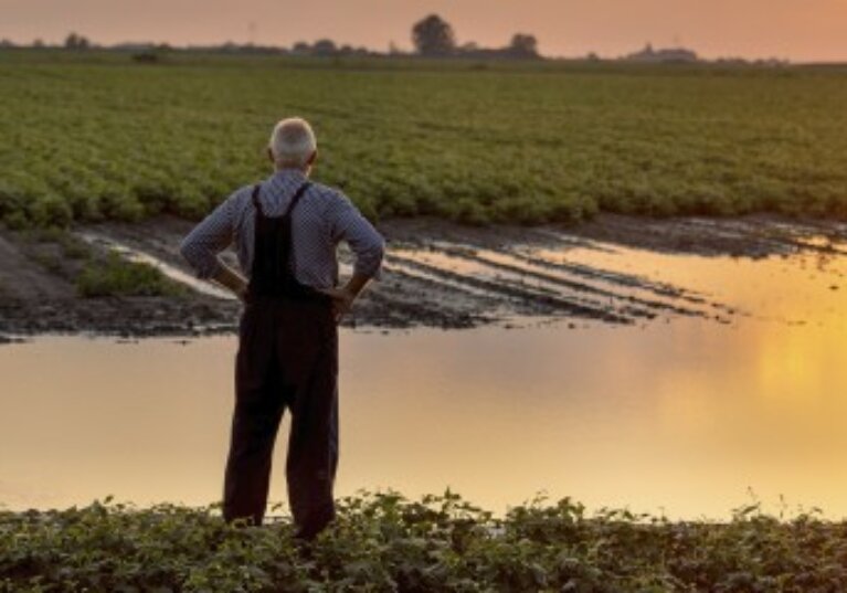 Des dégrèvements de taxe foncière pour les agriculteurs victimes d’une perte de récoltes