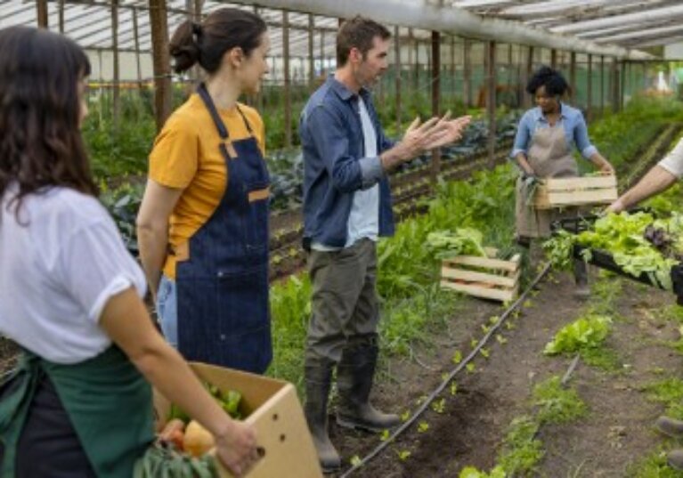 Les associations agricoles employeuses en 2023