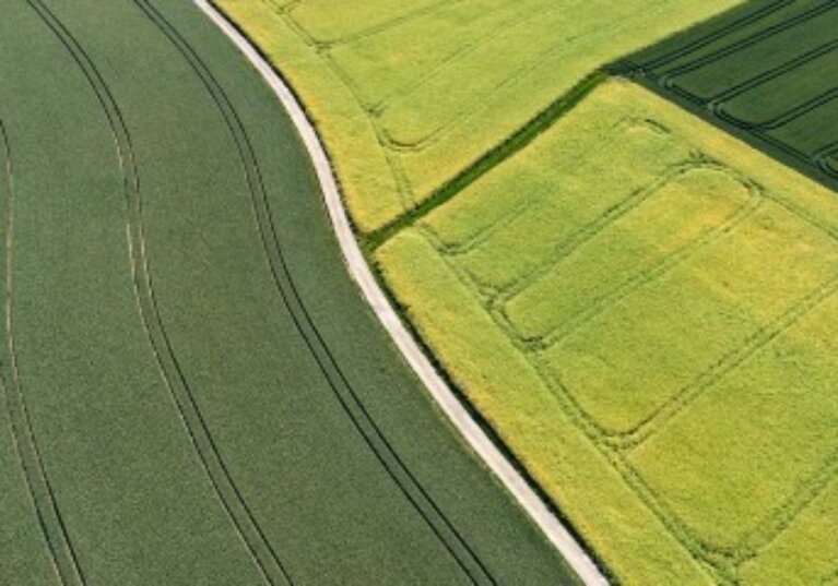 Échange de parcelles agricoles : les droits du locataire