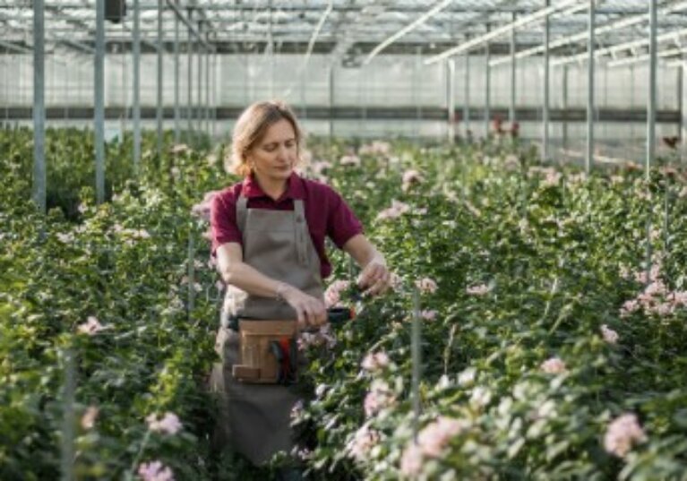 Activités agricoles exonérées de CFE : à condition que l’activité soit agricole !