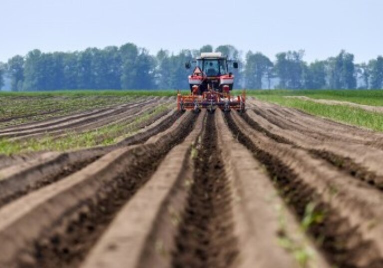 Mise à disposition d’une société de parcelles agricoles louées : il faut les exploiter !