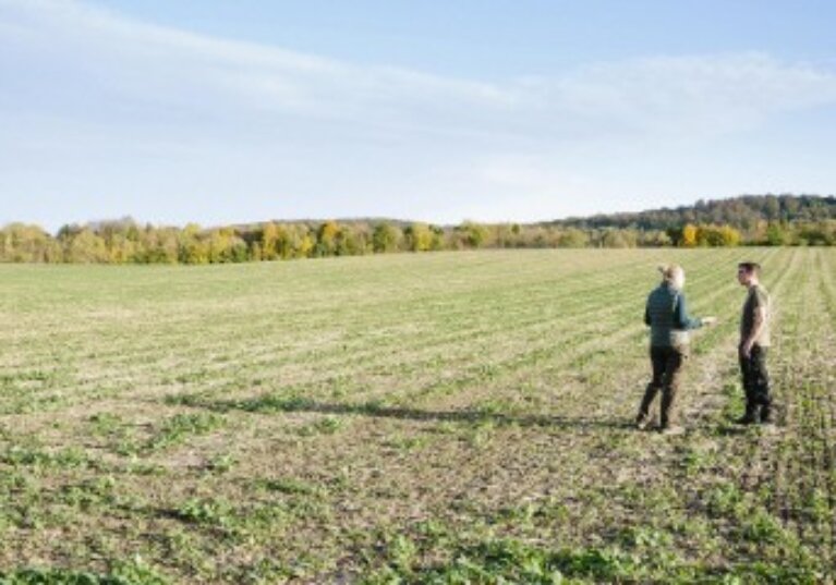 Préemption de la Safer sur une parcelle agricole : le droit du vendeur de se retirer