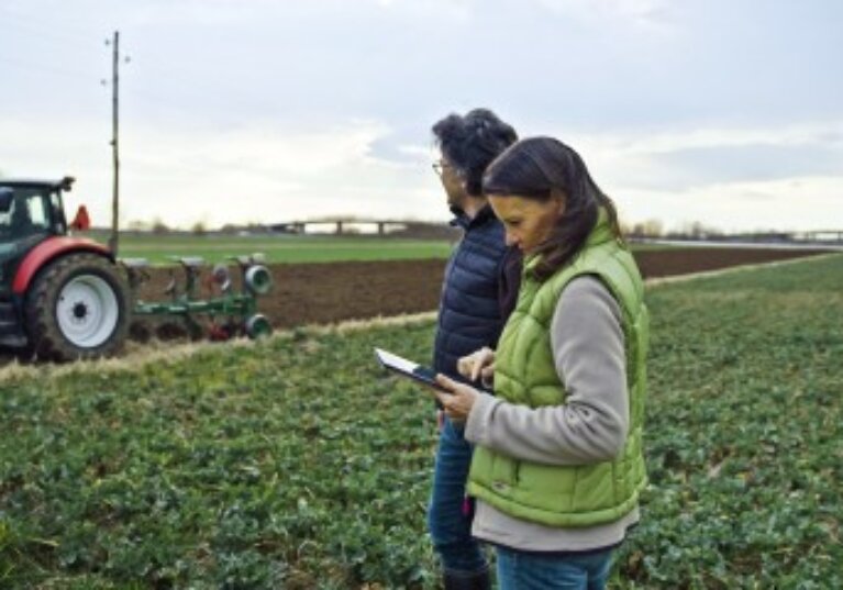 Acquisition de parcelles agricoles par substitution aux droits d’une Safer : du nouveau !